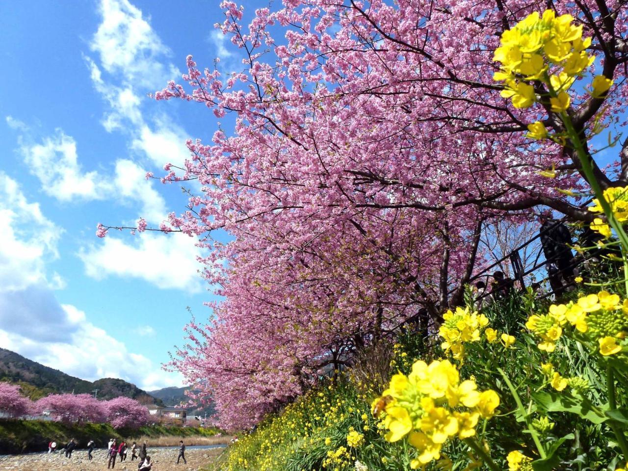 Laforet Shuzenji Sanshisuimei Izu  Zewnętrze zdjęcie